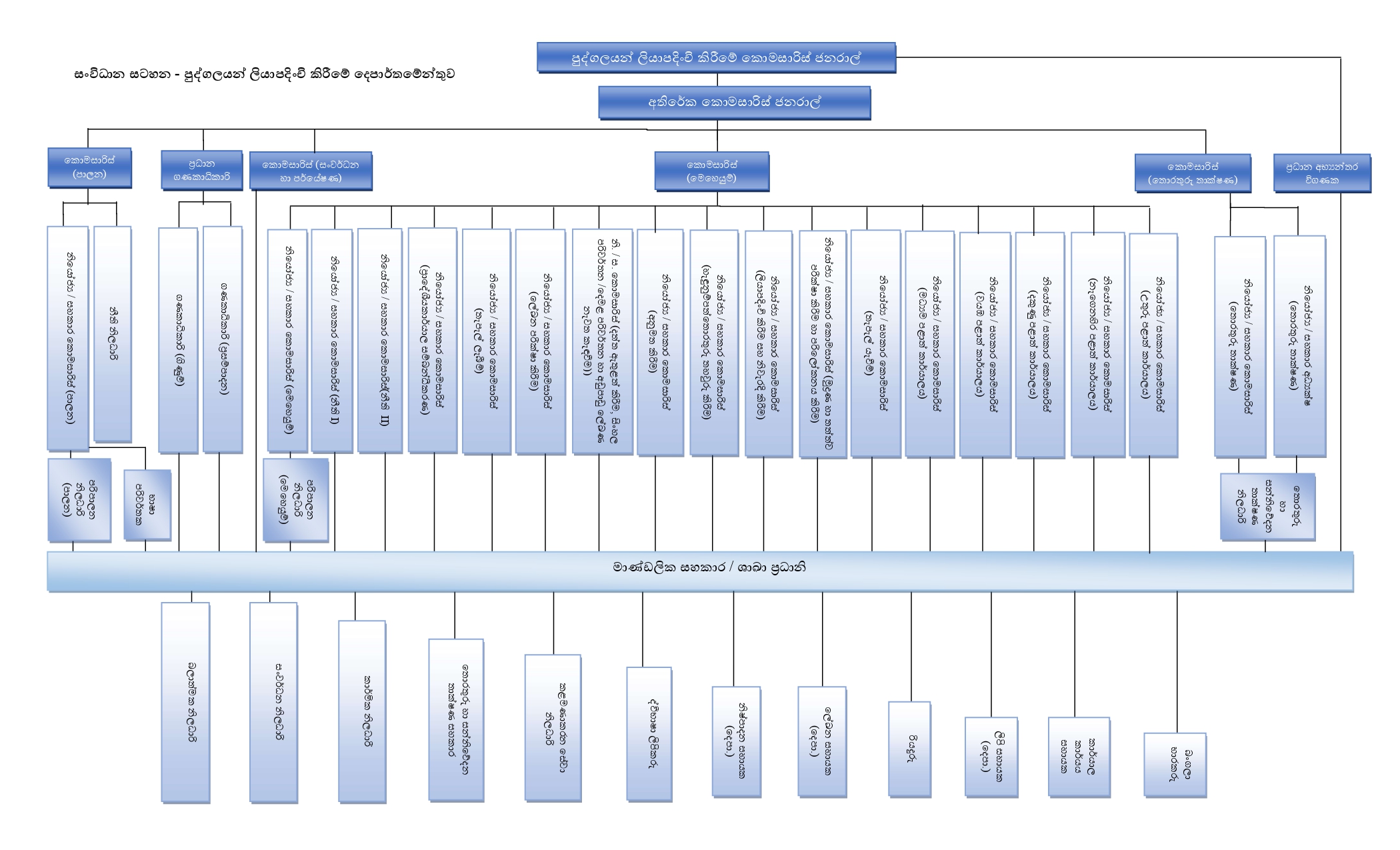 organization structure